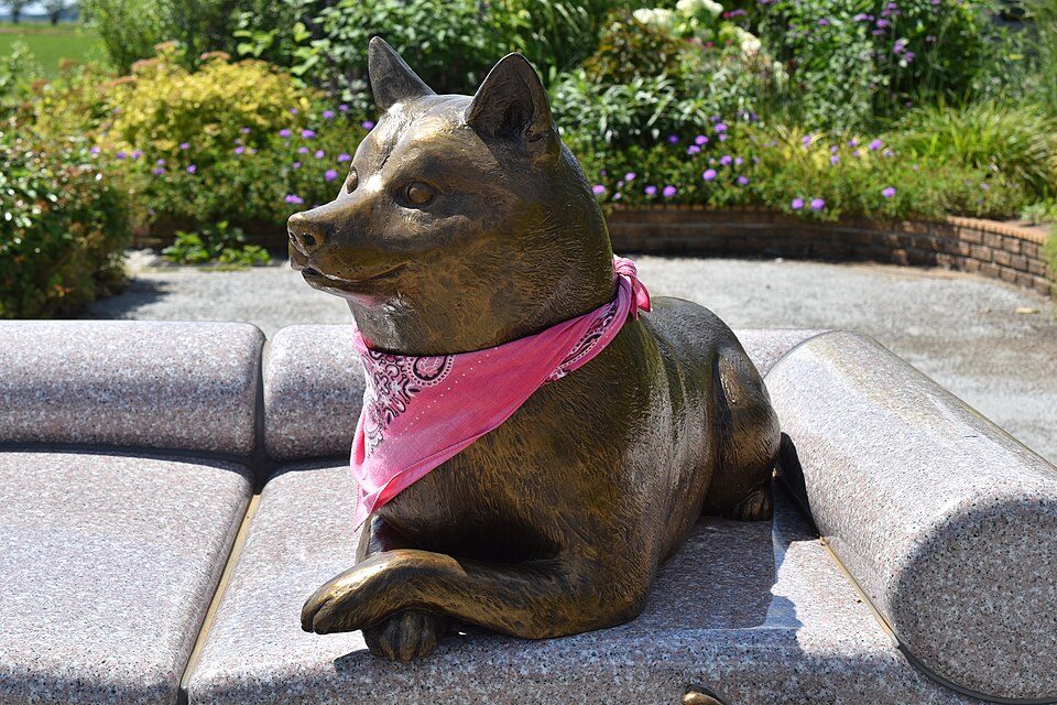 The Kabosu monument in Sakura, Japan