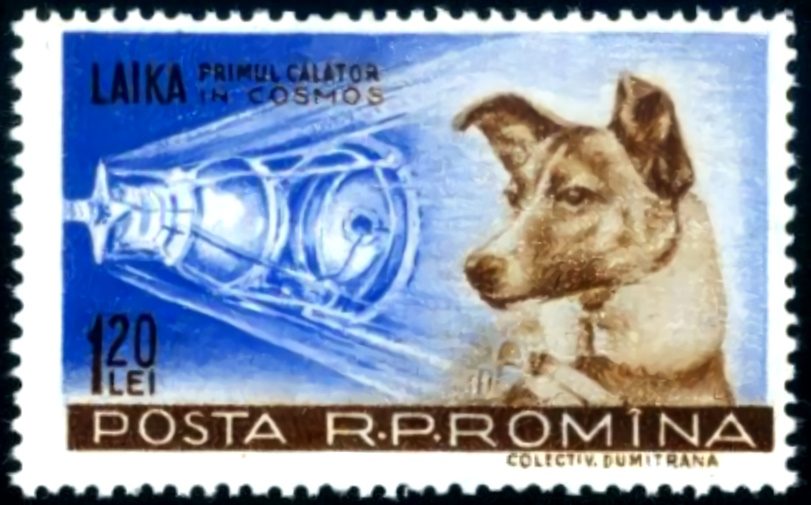Laika on a 1959 Romanian postage stamp