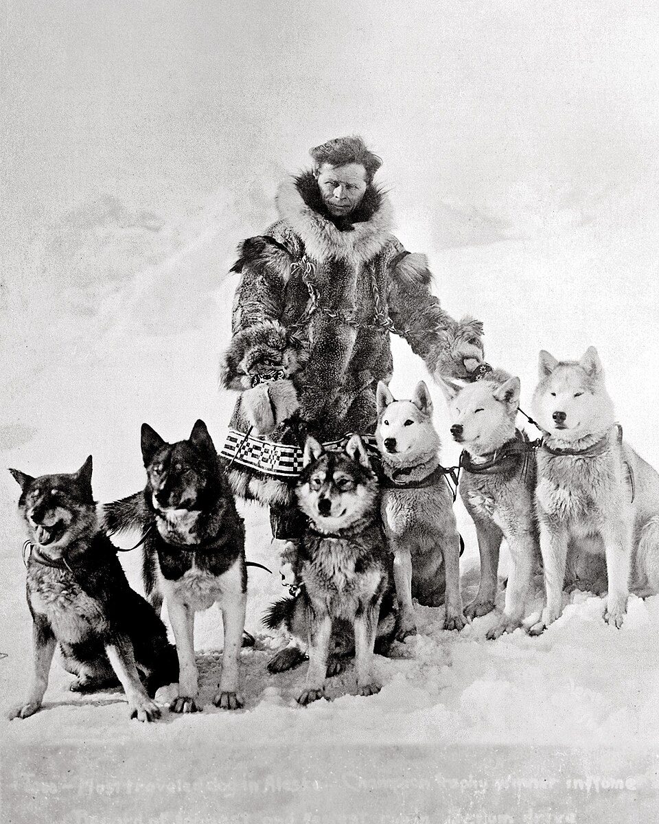 Leonhard Seppala with his dogs, Togo among them