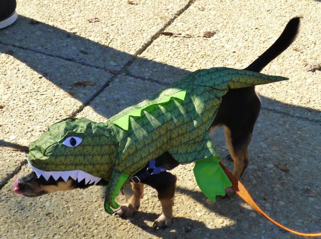 A chihuahua in a green dinosaur costume